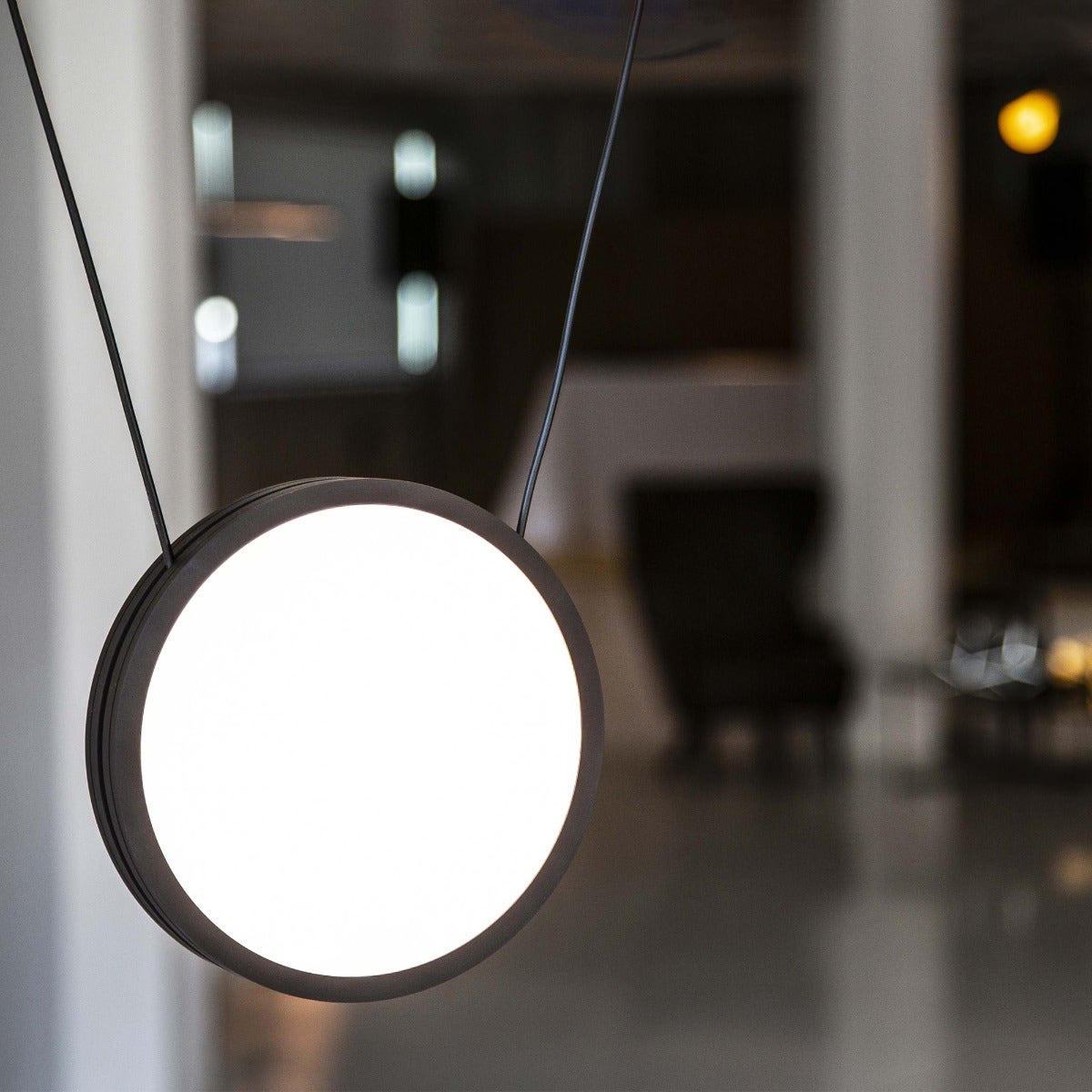 Anony Highwire Single Pendant Lamp