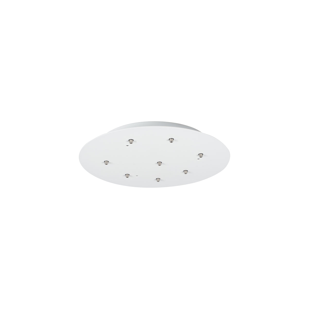 Bocci 73.8 Eight Pendant Light