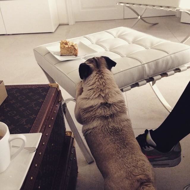 Knoll Ludwig Mies Van Der Rohe - Barcelona® Stool