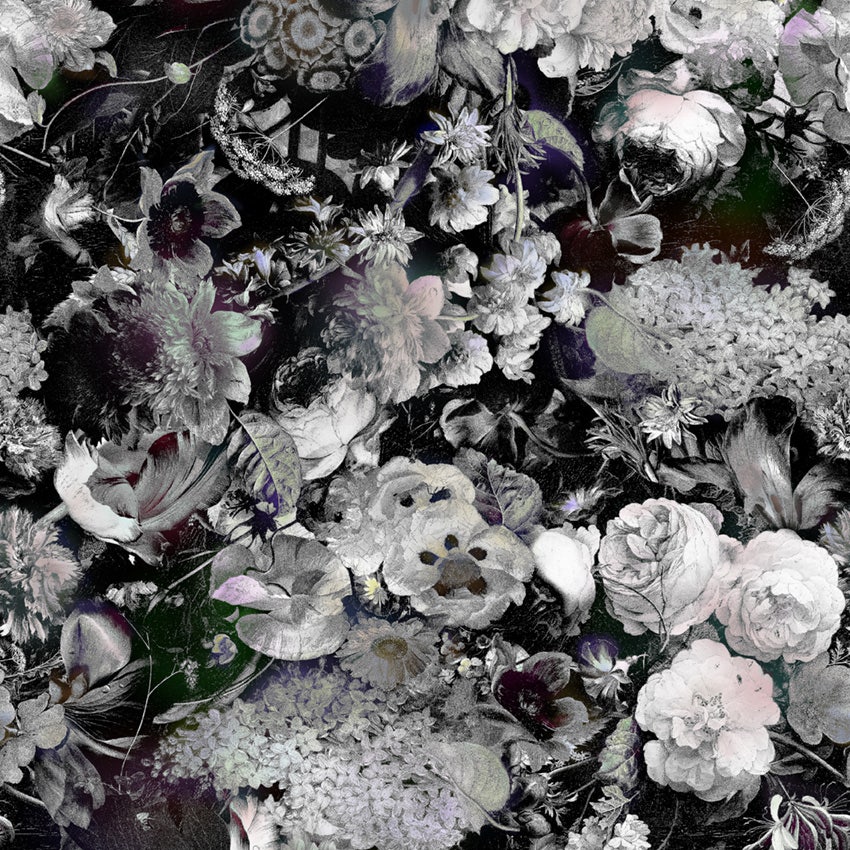 Moooi Eden Queen B&W Carpet