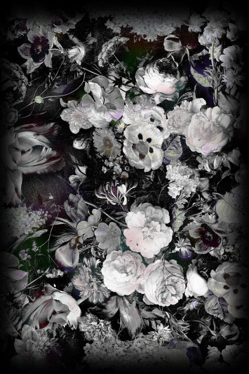 Moooi Eden Queen B&W Carpet