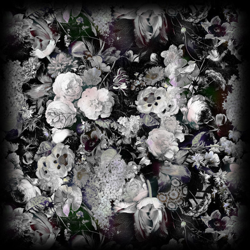 Moooi Eden Queen B&W Carpet