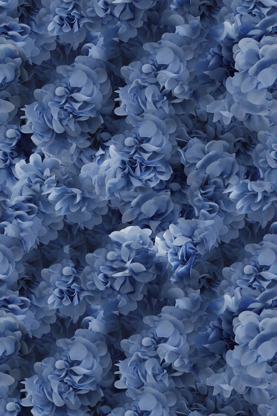 Moooi Hortensia Carpet