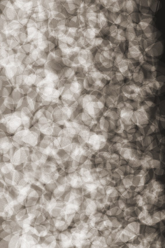 Moooi Pluck their Petals Lying Petals Carpet