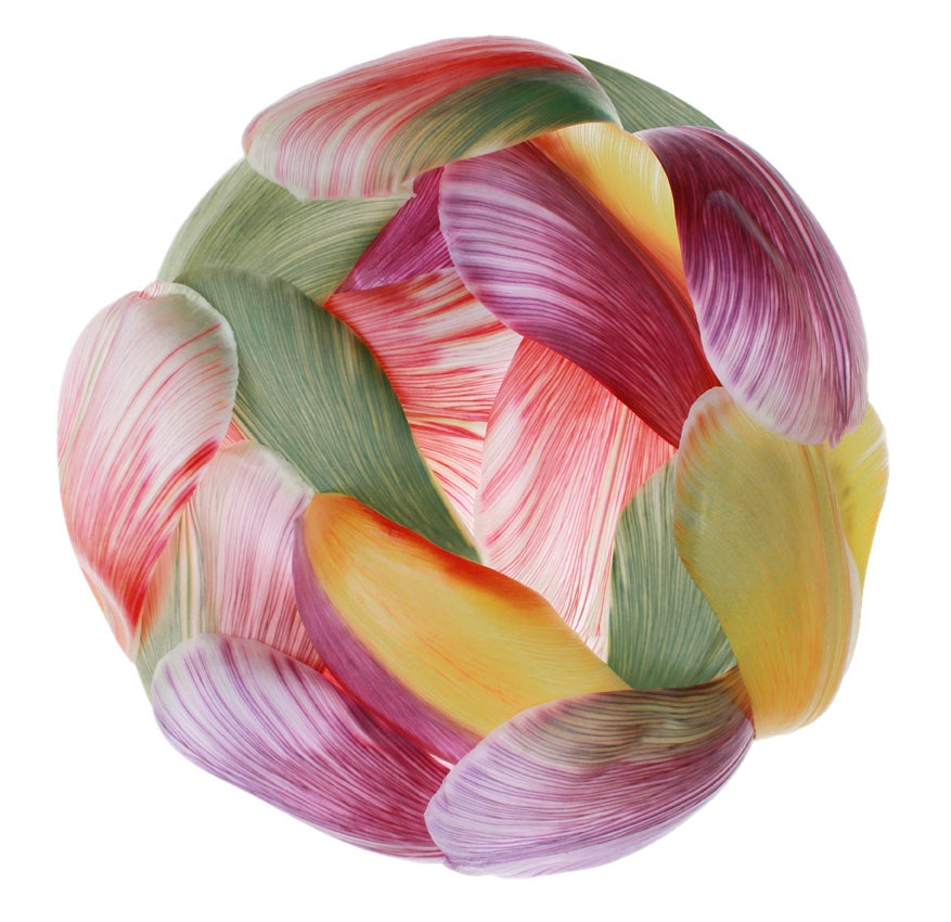 Moooi Tulip Mania Nest Carpet