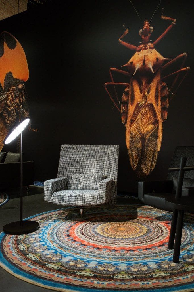 Moooi Urban Mandala Chicago Carpet