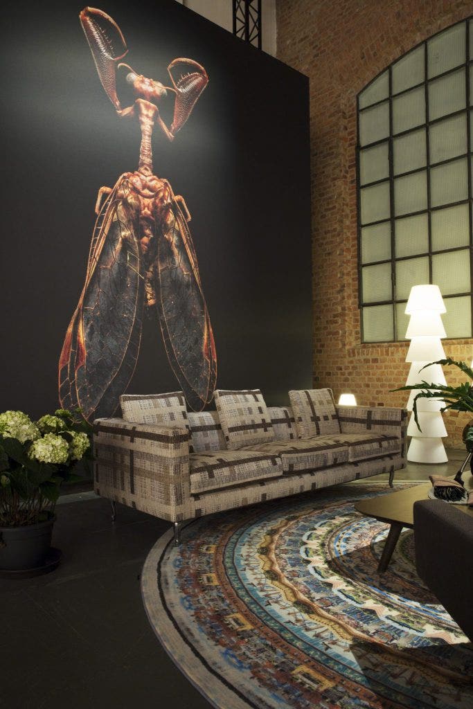 Moooi Urban Mandala Minneapolis Carpet