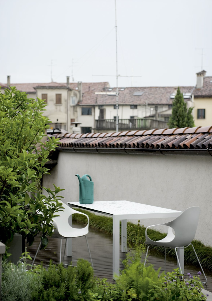 Chaise Éléphant