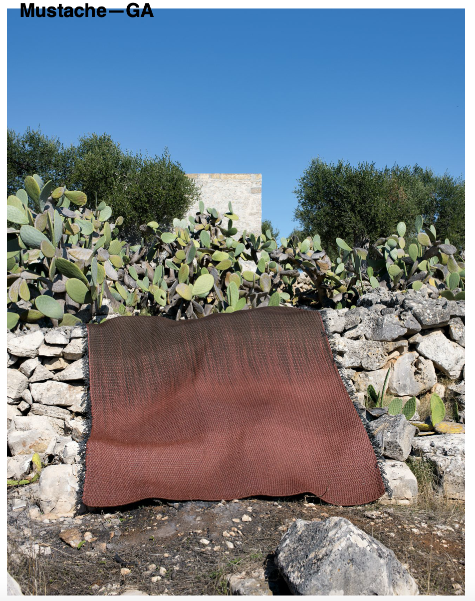 Tapis d'intérieur/extérieur Moustache