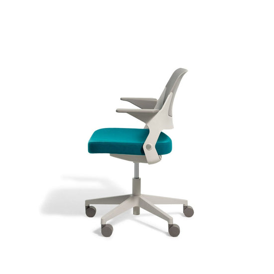 Knoll Ollo Task Chair with Shell Back, 5-Star Base