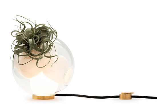 Bocci 38Vt Table Light