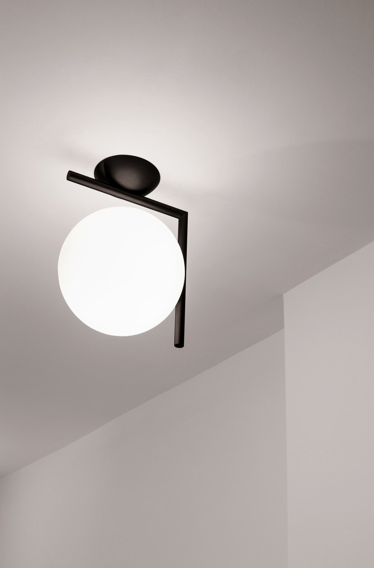 Flos IC Lights Wall/Ceiling Lamp
