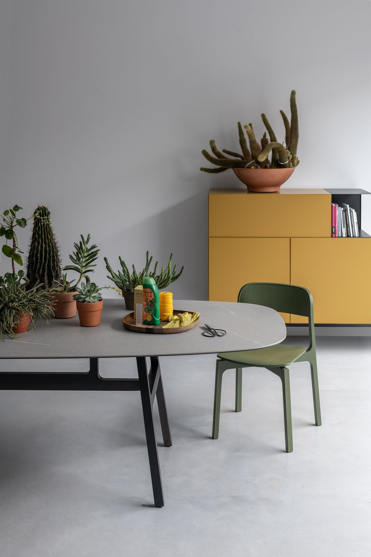 Table Bottega