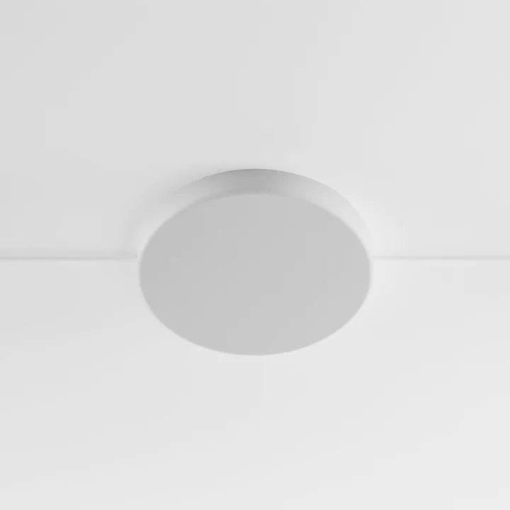 Anony Form Linear Suspension Lamp