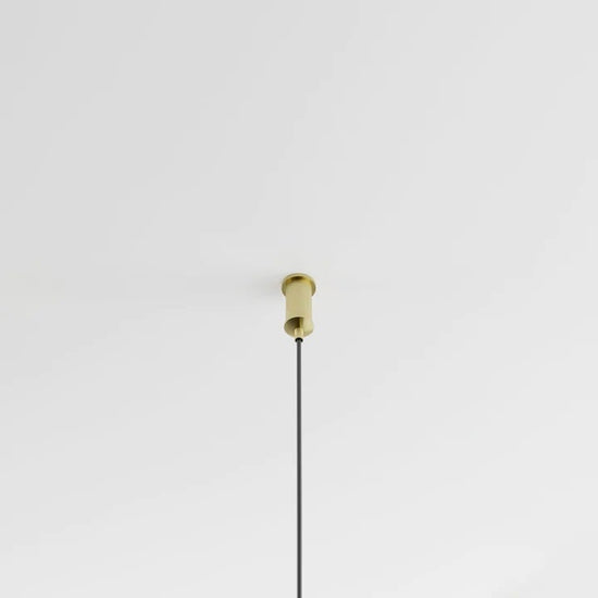 Anony Form Linear Suspension Lamp