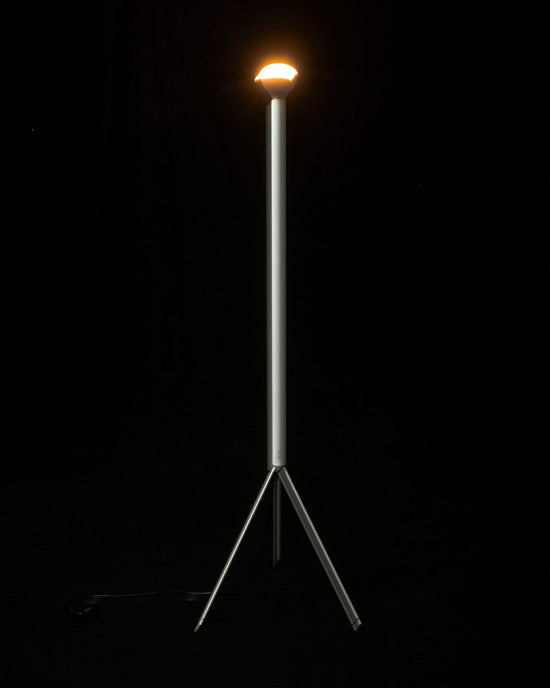 Flos Luminator Floor Lamp