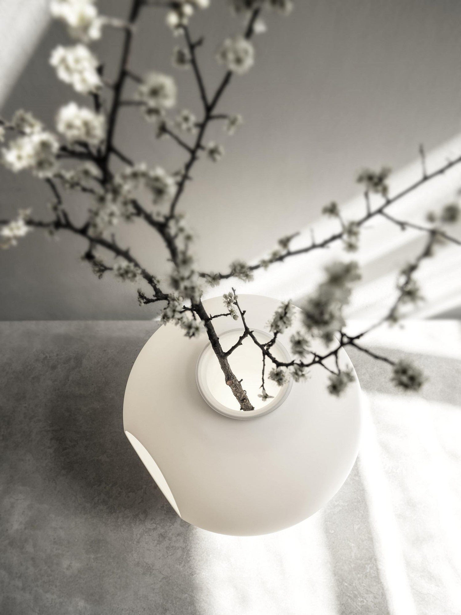 Foscarini Madre Table Lamp