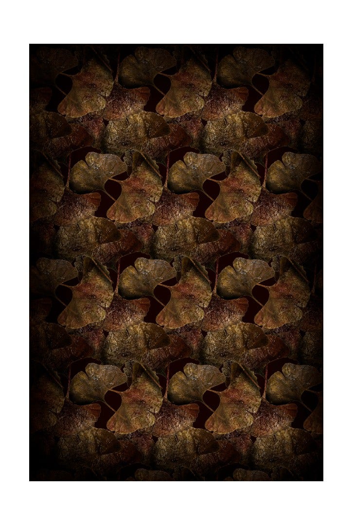 Moooi Ginko Leaf Carpet