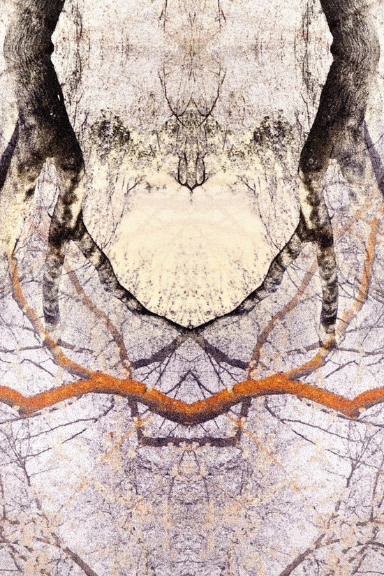 Moooi Diamond Tree Carpet