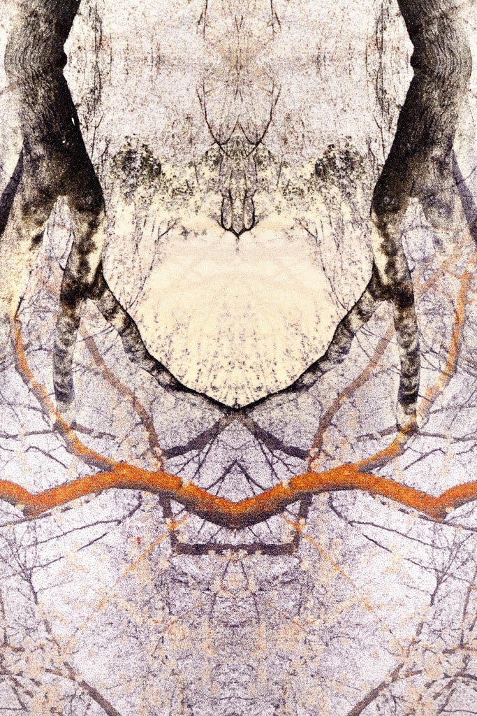 Moooi Diamond Tree Carpet