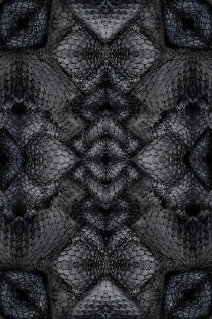 Moooi Dwarf Rhino Carpet