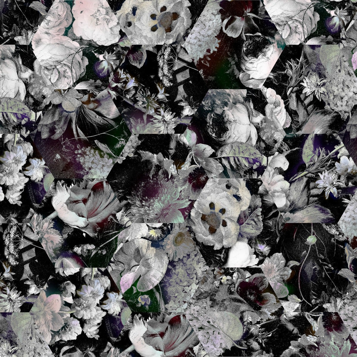 Moooi Eden Queen B&W Carpet