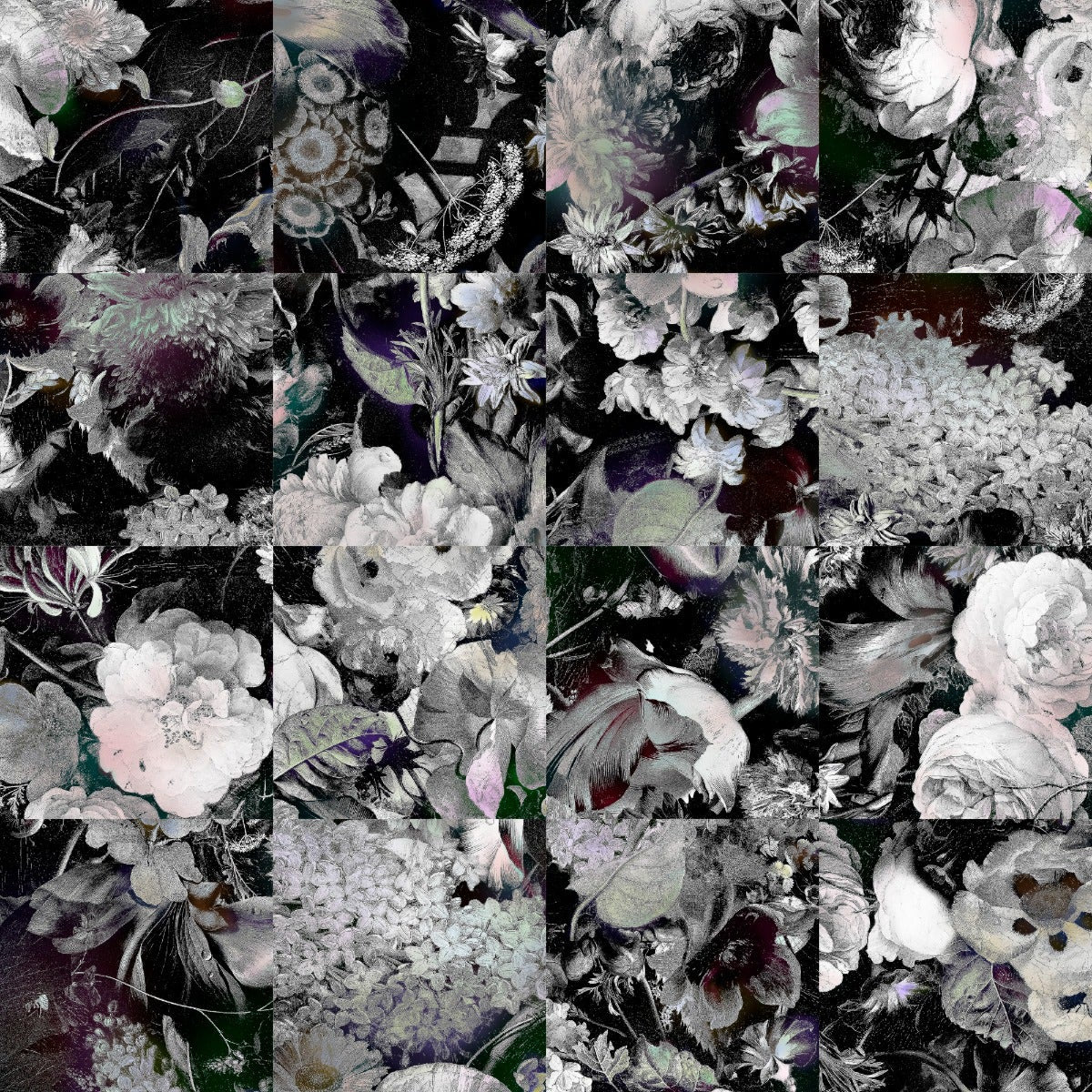 Moooi Eden Queen B&W Carpet