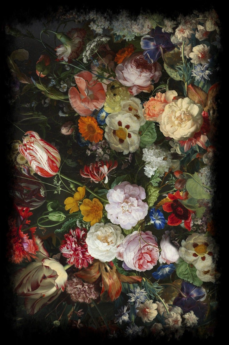 Moooi Eden Queen Carpet