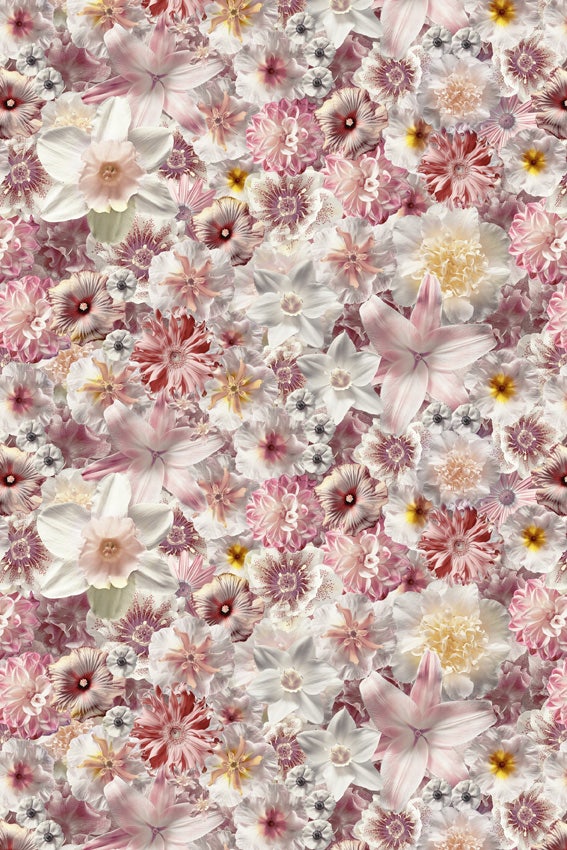 Moooi Flowergarden Carpet