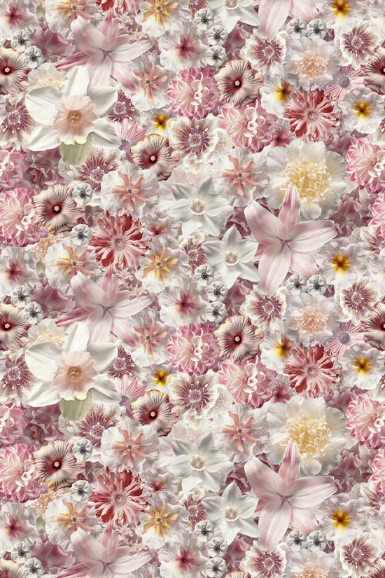 Moooi Flowergarden Carpet