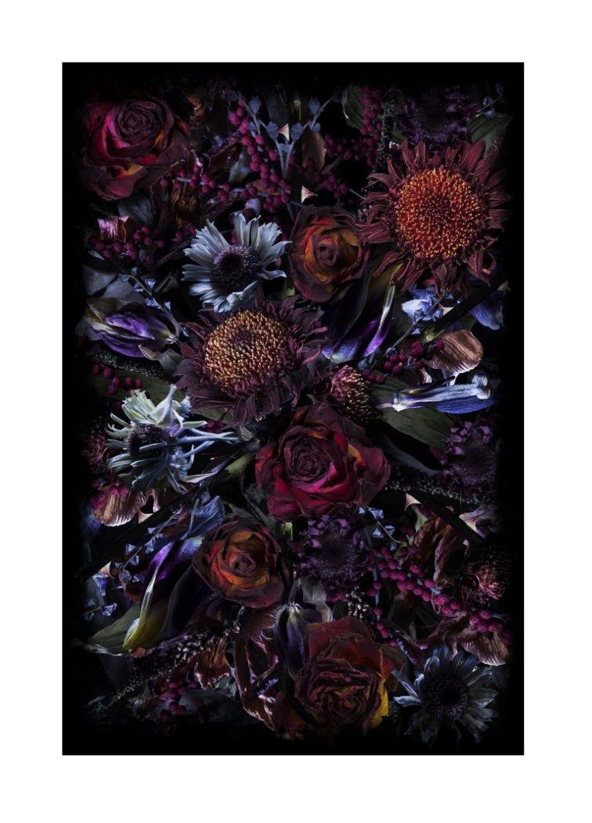 Moooi Fool's Paradise Carpet