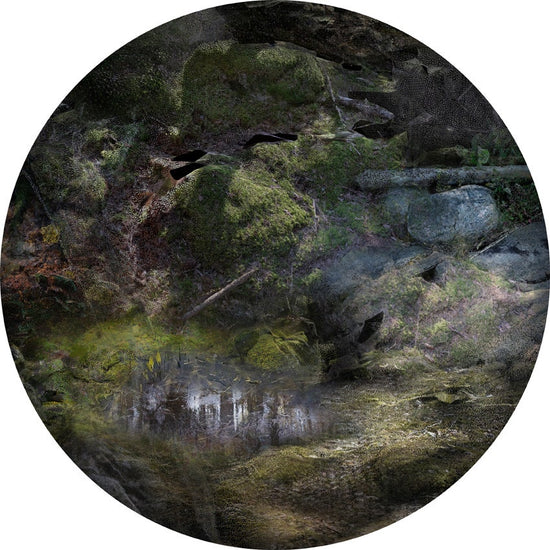 Moooi Forest Floors Portrait Carpet