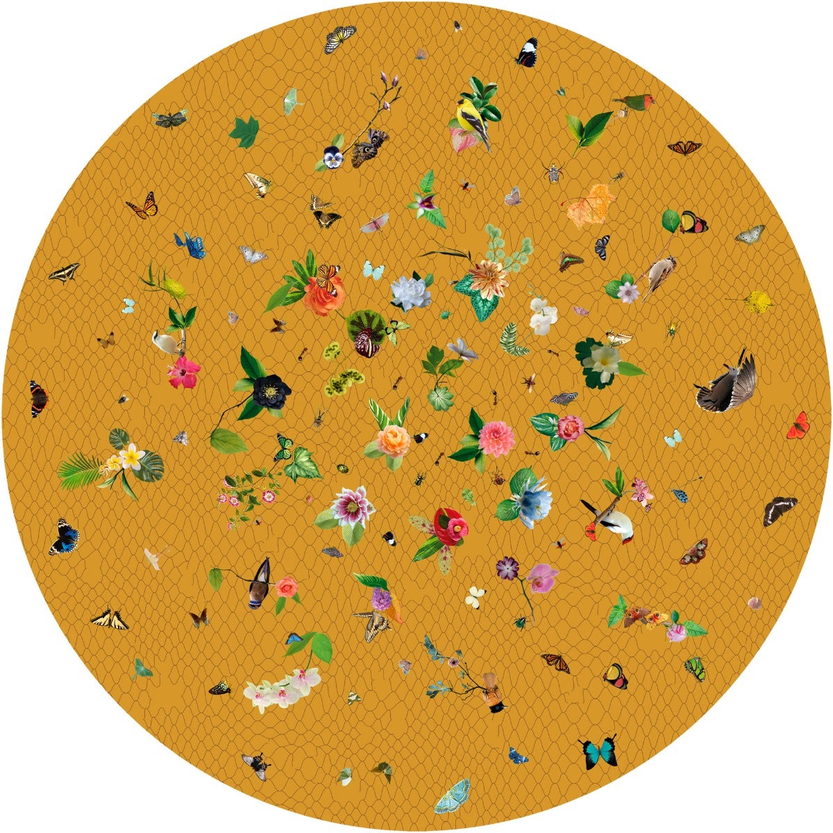 Moooi Garden of Eden Carpet