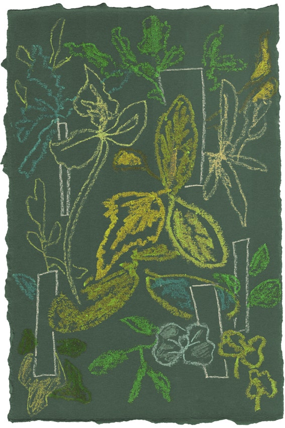 Moooi Handwriting Sprouts Carpet