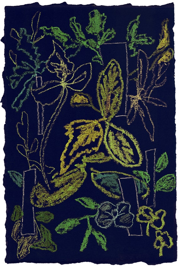 Moooi Handwriting Sprouts Carpet