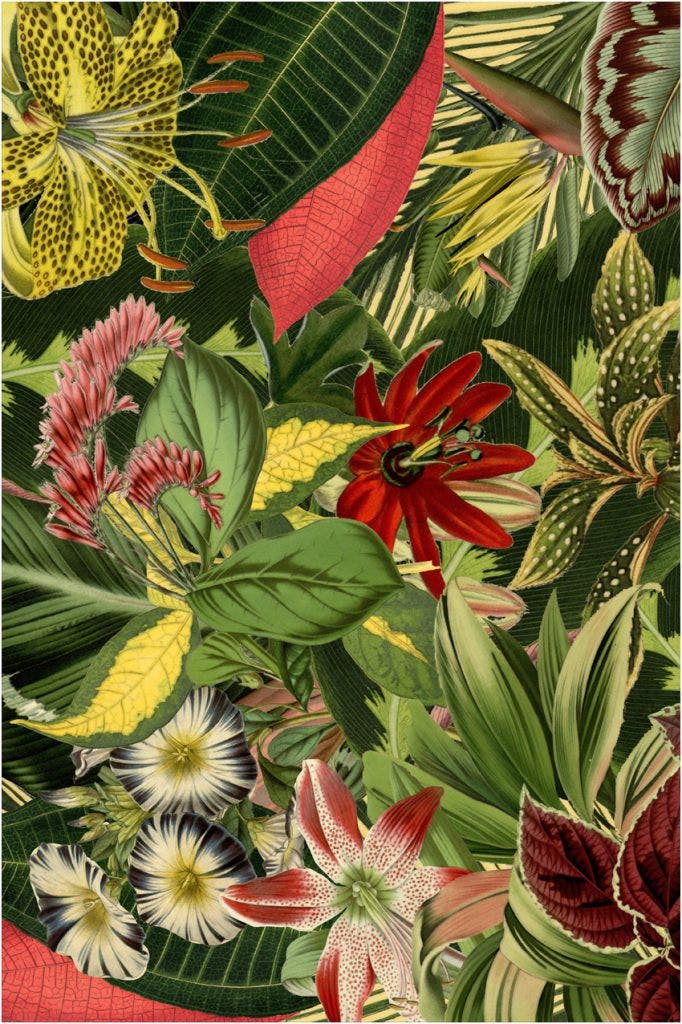Moooi Herbarium of Extinct Plants Carpet