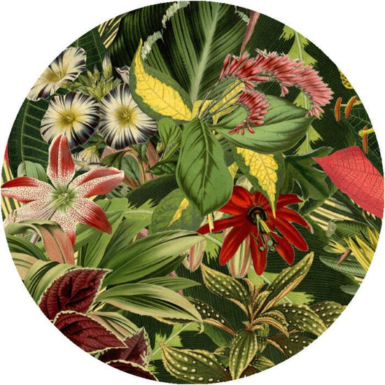 Moooi Extinct Animals Mimic Moth Carpet