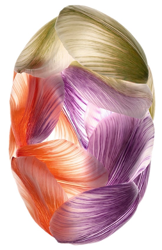 Moooi Tulip Mania Cocoon Carpet
