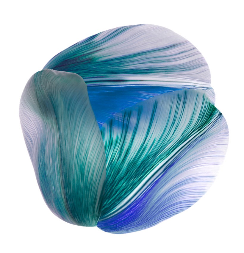 Moooi Tulip Mania Shell Carpet