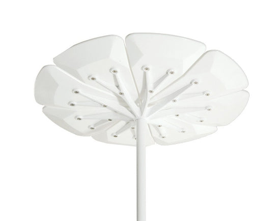 Knoll Richard Schultz Petal® Coffee Table