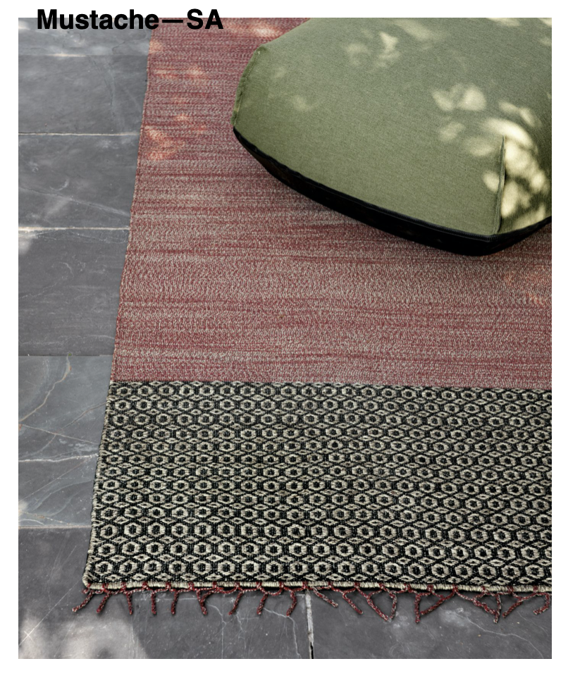 Tapis d'intérieur/extérieur Moustache